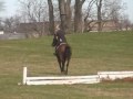 CamaroX-country.avi