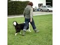 Heel Work
