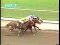 1988 San Bernadino Handicap