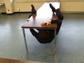 An exam season favourite. Climb around the table without tounching the ground.