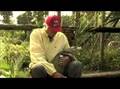 Ken's Alligators 02