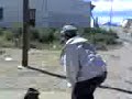EL VUELO MORTAL EL VUELO MORTAL