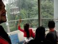 Alton Towers 3