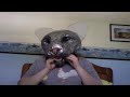 Click here to watch this video Reverse Tiger Partial WIP 2