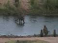 videos de River-crossing.avi