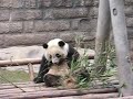 MM in China MM in China