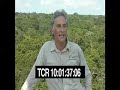 Forests Now with added timecode