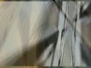 videos de Neil Young: Borrowed Tune ~ vIDeo~ + All1song cover
