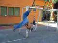 videos de parkour guayabal