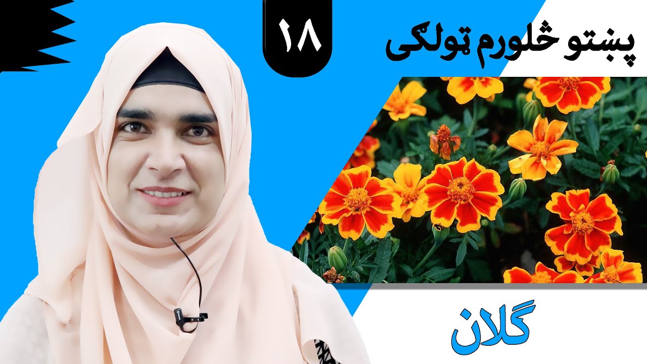 Class 4 - Pashto | title Flowers  -  Lesson 18 |  موضوع  گلان -  لوست  18