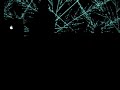 Kangding Ray Live at Hive Liverpool
