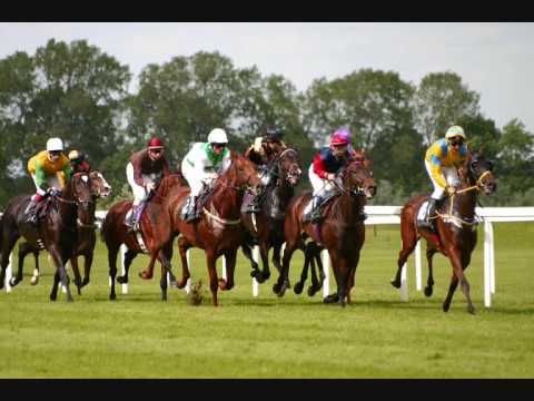 horse racing horse racing
