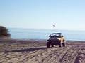 el golfo aldo y su wangler