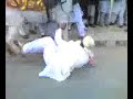 very funny Pakisani Dulah fell from horse.