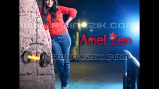 Amel Zen 2013 Afnani