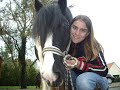 Anne et ces chevaux Anne et ces chevaux
