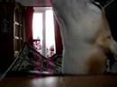 howling-chihuahua.html