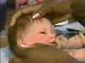 The Art of Reborn Doll Making