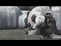 Pball mix BFMV