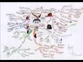 Harry Potter Mapa Mental