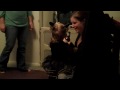 Harlow Rayne Is A Kitty Cat