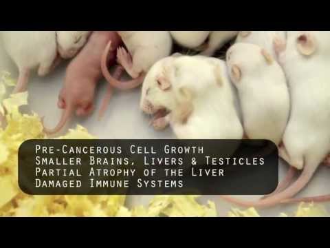Obama Signs The Monsanto Protection Act – Seeds Of Death- Full Movie