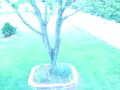 4xx Fairhill Drive, Churchville, PA
