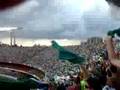 festa no chiqueiro.. palmeiras x curintia