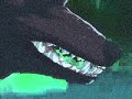 8 Bit