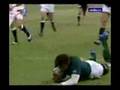 Bryan Habana : A rugby revelation