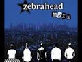 The Setup - Zebrahead