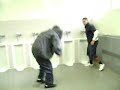 motero-fights.html