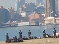 Seagulls, Hasidim and Manhattan