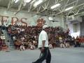 videos de Tiger Champions
