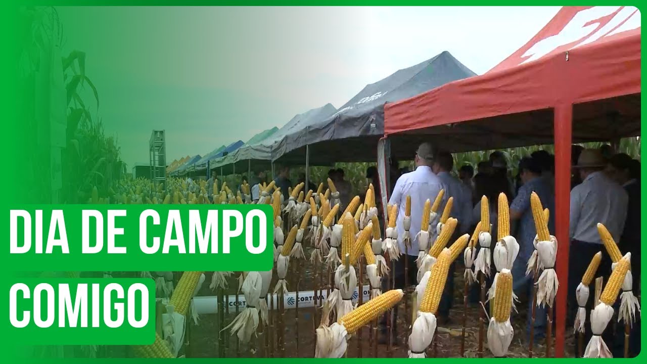 Dia de Campo Comigo