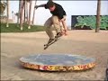 411VM - Rodney Mullen 411VM - Rodney Mullen