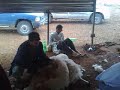 اجلامة فرج السويحلي جبريل العقيبي
