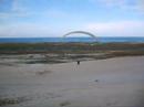 Sabiaguaba