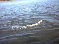 Aquacraft Mini Rio first/second run