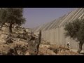 Cat Power, Please Respect the Boycott of Apartheid Israel