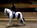 Wedstrijd Shayla F3-B 23-09-06 Wedstrijd Shayla F3-B 23-09-06