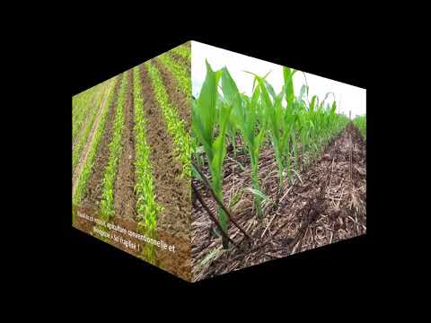 Image de prévisualisation YouTube