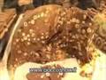 videos de Degustazione di Cioccolato e Produzione di Cioccolato