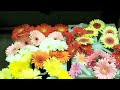 Current Stock in Cooler at Gillespie Florists 10.20.2009