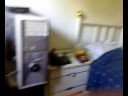 #356---