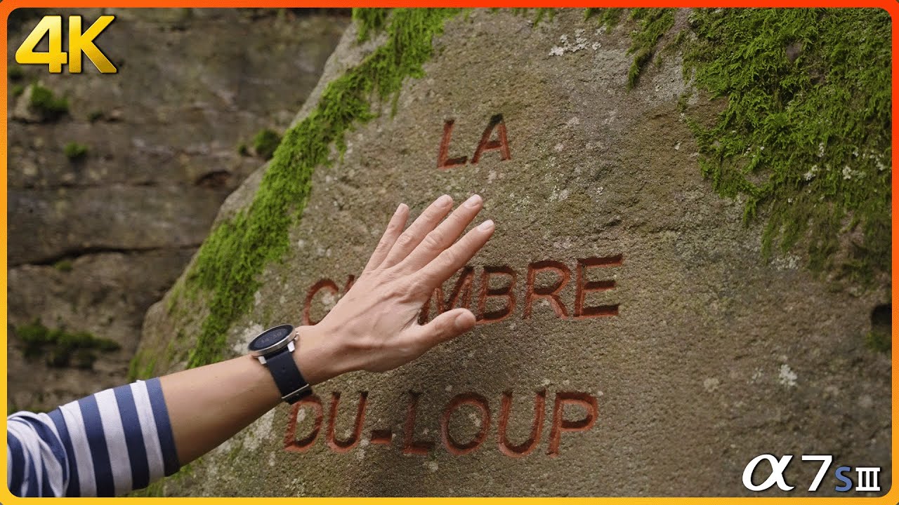 La Chambre du Loup - a trail running cinematic video 4k - Sony a7sIII