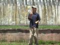videos de caminando
