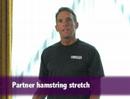 Top 6 Stretching Exercises