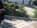 skaters skate rap reggae rock gaps rails manuels skateboard sk8 sd lol bails ow cool air vert street