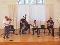 armin heitz trio + andy w�ldele (minor swing-django reinhardt)